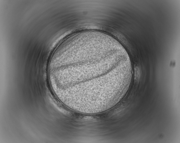 X0000114140390200911051425