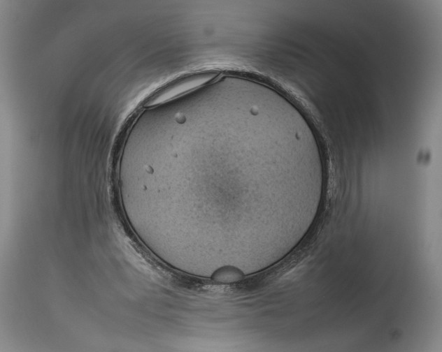 X0000114140391200911051425