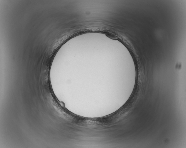 X0000114140393200911051425