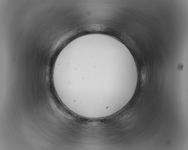 X0000114140396200911051425