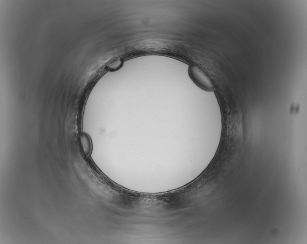 X0000114140399200911051425