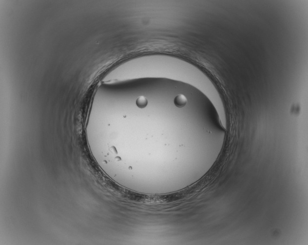 X0000114140403200911051425