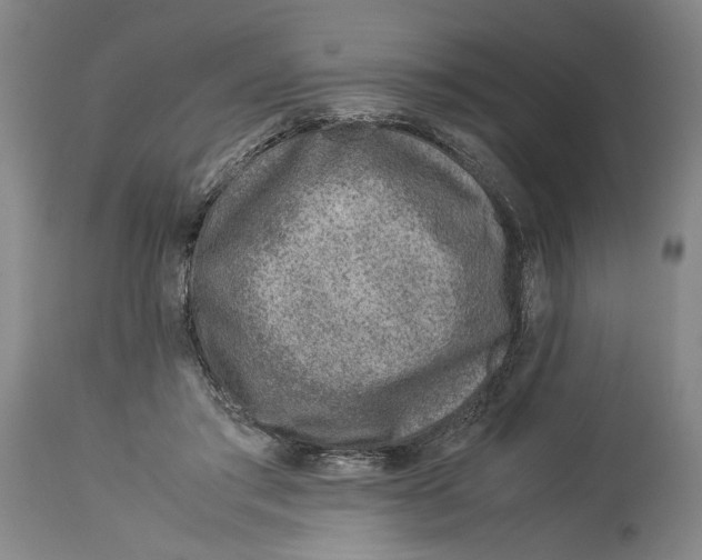 X0000114140405200911051425