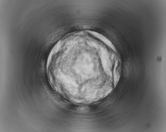 X0000114140410200911051425