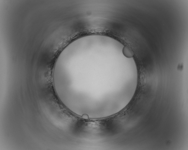 X0000114140411200911051425