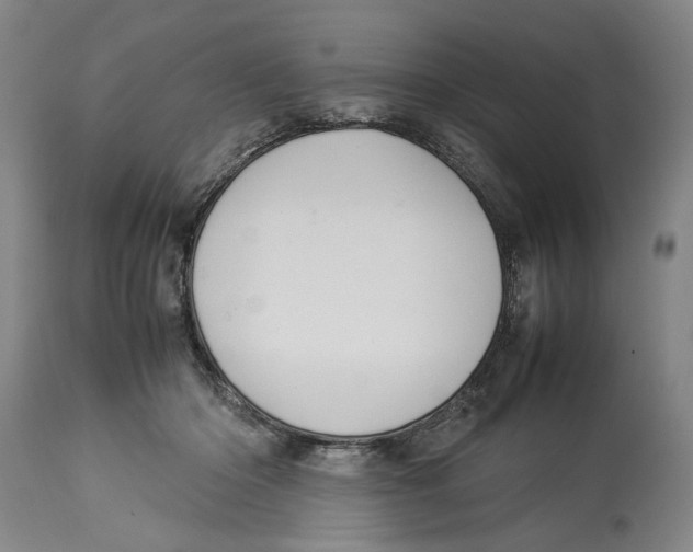 X0000114140414200911051425