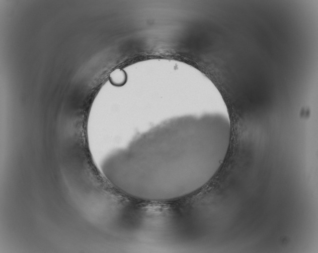 X0000114140415200911051425