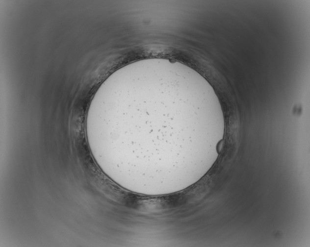 X0000114140417200911051425