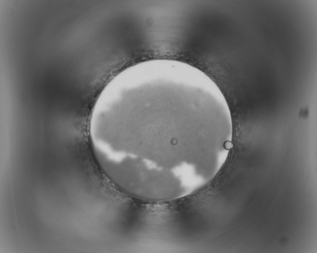 X0000114140419200911051425