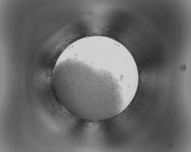 X0000114140423200911051425