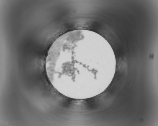 X0000114140427200911051425