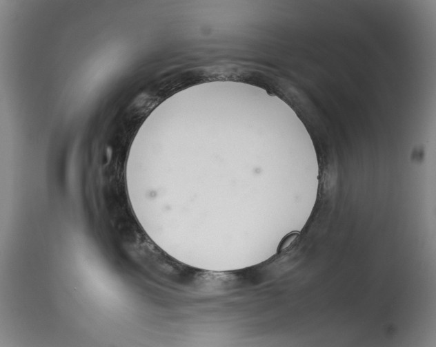 X0000114140429200911051425