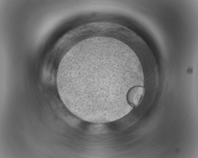 X0000114140431200911051425