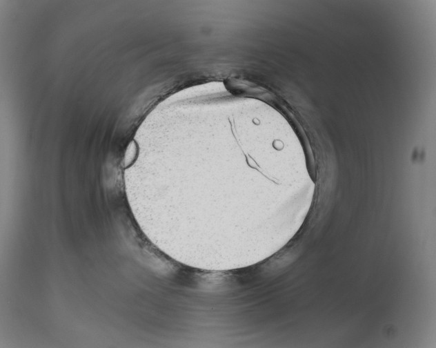 X0000114140432200911051425