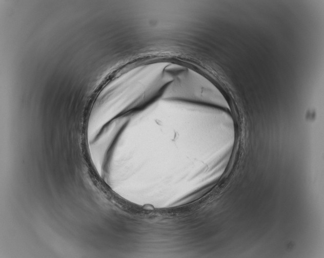 X0000114140434200911051424