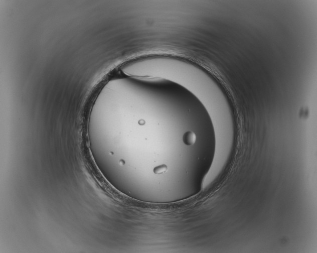 X0000114140436200911051424