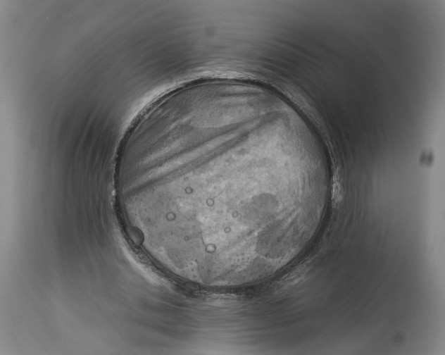 X0000114140438200911051424