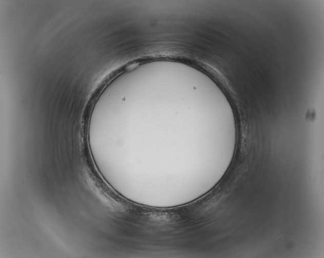 X0000114140439200911051424