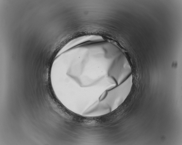 X0000114140454200911051424