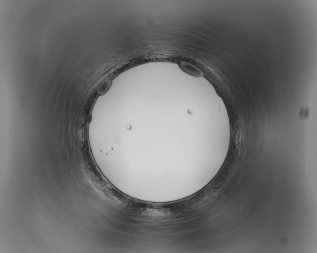 X0000114140455200911051424