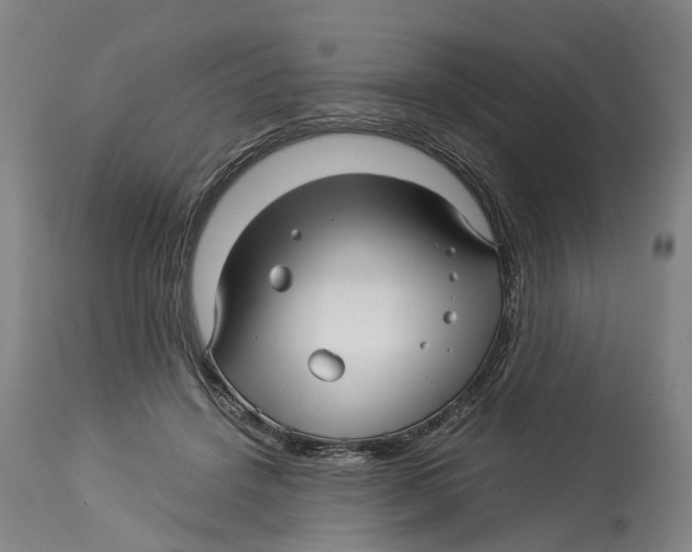 X0000114140456200911051424