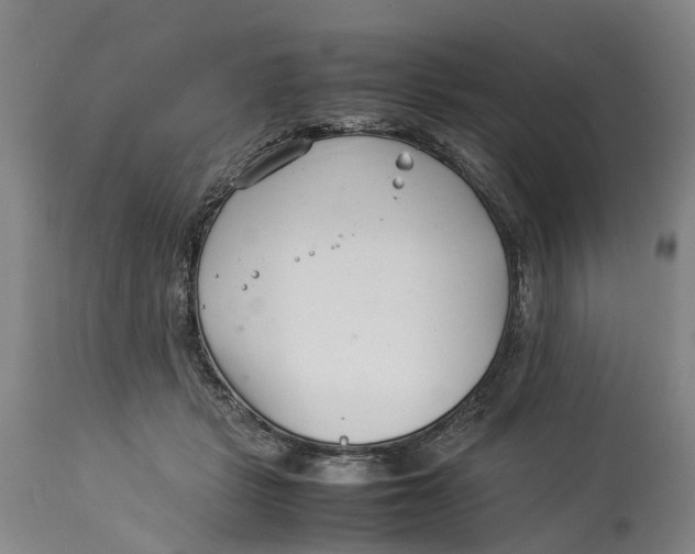 X0000114140461200911051424