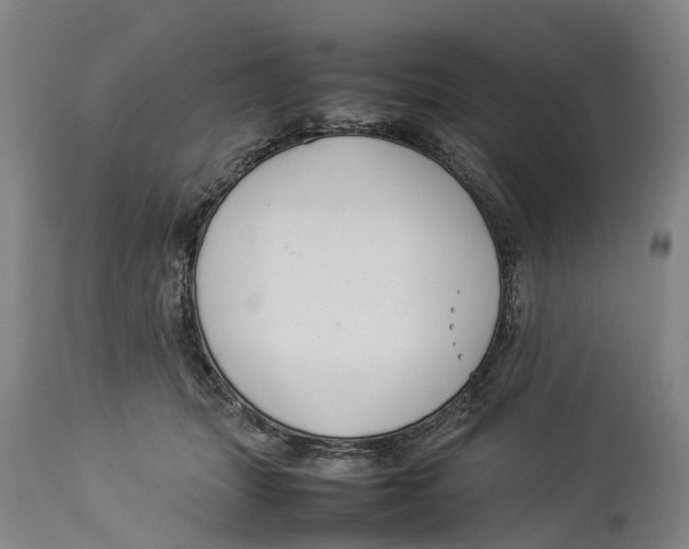 X0000114140463200911051424