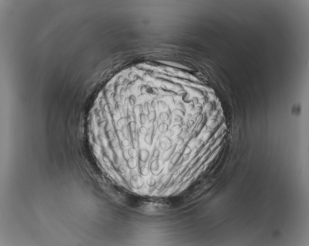 X0000114140466200911051424