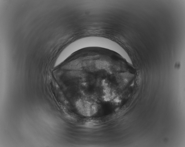 X0000114140471200911051424