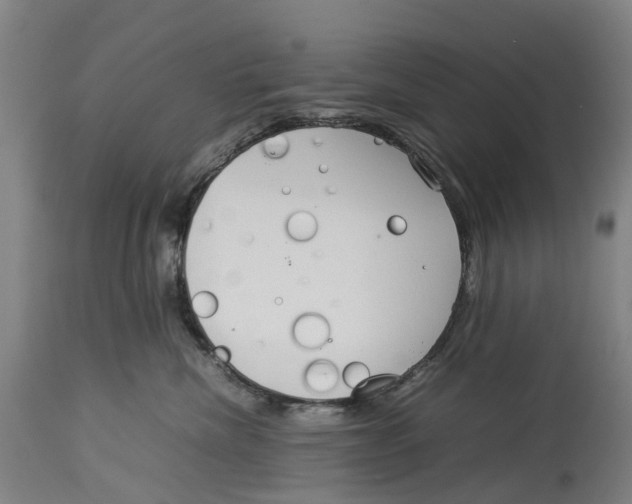 X0000114140476200911051425