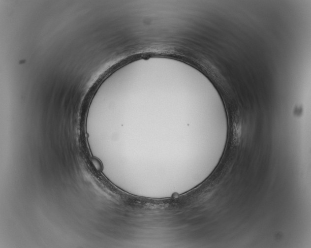 X0000114140484200911051424