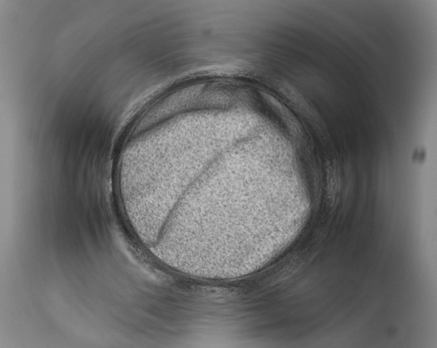 X0000114140486200911051424