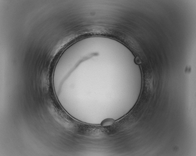 X0000114140488200911051424