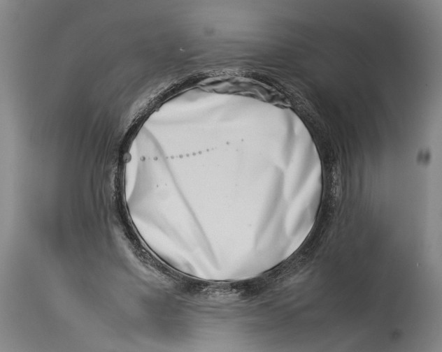 X0000114140491200911051424