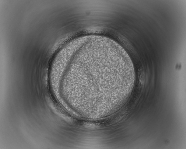 X0000114140494200911051424