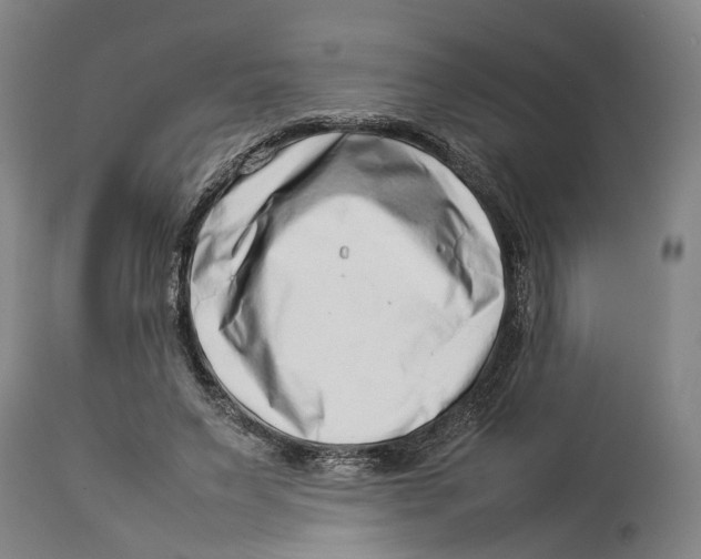 X0000114140495200911051424