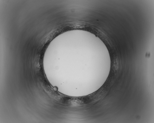 X0000114140512200911051423