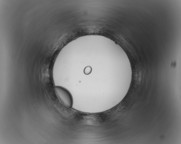 X0000114140516200911051423