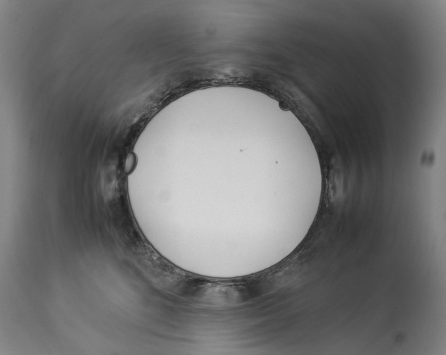 X0000114140520200911051423