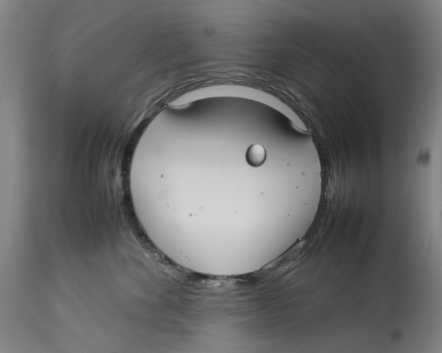 X0000114140524200911051423