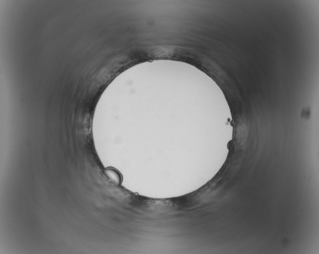 X0000114140525200911051423