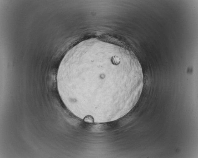 X0000114140527200911051423