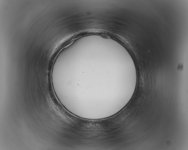 X0000114140535200911051423