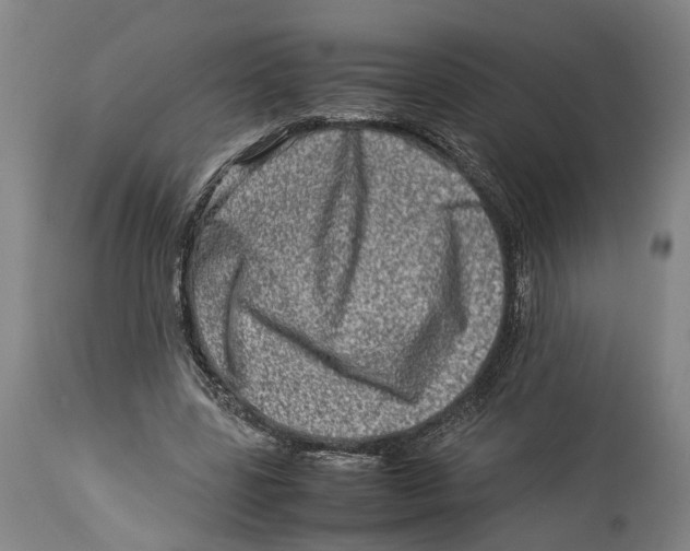 X0000114140539200911051423