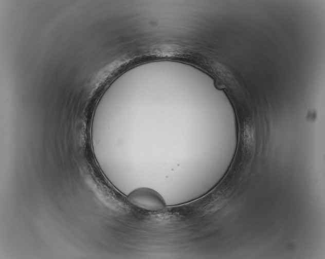 X0000114140540200911051423