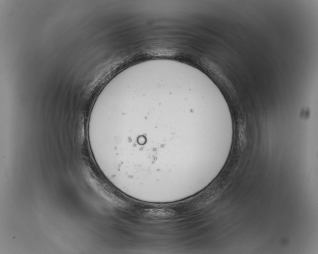 X0000114140541200911051423