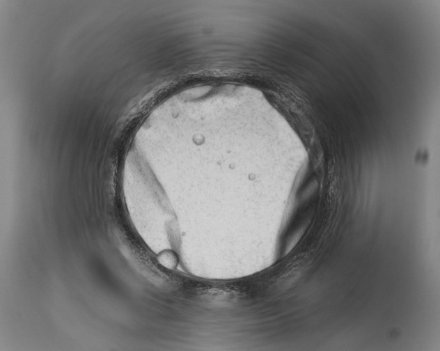 X0000114140542200911051423