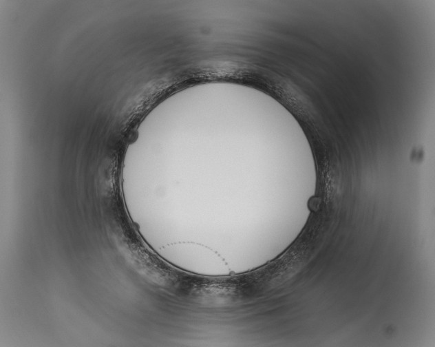 X0000114140546200911051423