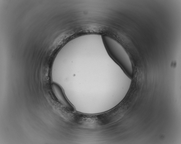 X0000114140548200911051423