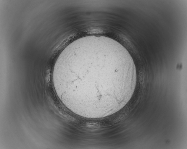 X0000114140549200911051423